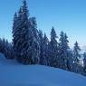 Schladming-Dachstein - Pension Lasserhof