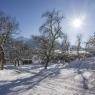 SkiWelt Wilder Kaiser-Brixental  - Appartement Kronegg