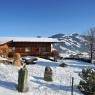 SkiWelt Wilder Kaiser-Brixental  - Ferienwohnung Fuchs Katharina