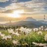 Schladming-Dachstein - Dorfhotel St. Martin