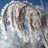 Schladming-Dachstein - Familien & Wanderpension Purkhardt