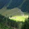Schladming-Dachstein - Höflechner, Potzalm