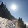 SkiWelt Wilder Kaiser-Brixental  - Ferienwohnung Springer