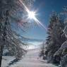 SkiWelt Wilder Kaiser-Brixental  - Haus Auwinkl