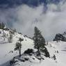 Schladming-Dachstein - Appartement Gaby