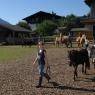 Flachau - Ransburgerhof, Hotel-Garni***