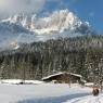 SkiWelt Wilder Kaiser-Brixental  - Mühleggl, Forsthaus