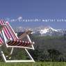 Schladming-Dachstein - Appartements Kofler