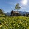 Schladming-Dachstein - Appartement Oppenauer Gut