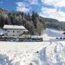 SkiWelt Wilder Kaiser-Brixental  - Appartement Ortner