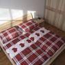 Schladming-Dachstein - Moser-Loy - Franz Moser´s Guesthouse
