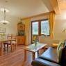SkiWelt Wilder Kaiser-Brixental  - Ferienwohnung Horngacher Franziska