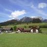 Schladming-Dachstein - Grundnerhof