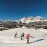 SkiWelt Wilder Kaiser-Brixental  - Ferienwohnung Springer