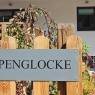 Schladming-Dachstein - Appartement Alpenglocke