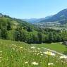 SkiWelt Wilder Kaiser-Brixental  - Ferienhaus Franbichl