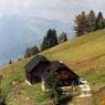 Schladming-Dachstein - Wurzeggeralm