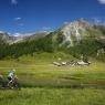 Schladming-Dachstein - Pension Mitterwallner