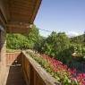 SkiWelt Wilder Kaiser-Brixental  - Appartement Stöpflhof