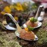 Schladming-Dachstein - Almwelt Austria-Hotel Jagdhaus