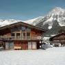 SkiWelt Wilder Kaiser-Brixental  - Moser, Appartements