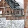 Schladming-Dachstein - Chalet Berghoamat