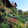 Schladming-Dachstein - Moosbruggerhof