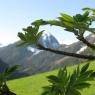 Schladming-Dachstein - Pension Steiermark