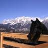 Schladming-Dachstein - Hotel Breilerhof