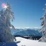 SkiWelt Wilder Kaiser-Brixental  - Salvenmoser Johanna, Ferienwohnung