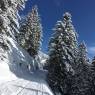 SkiWelt Wilder Kaiser-Brixental  - Ferienwohnung Springer