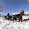 SkiWelt Wilder Kaiser-Brixental  - Appartmenthaus Danzerhof
