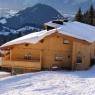 SkiWelt Wilder Kaiser-Brixental  - Alm-Appartement, Fam. Niedermühlbichler