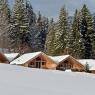 SkiWelt Wilder Kaiser-Brixental  - Ferienwohnungen & Bauernhof Franzlhof