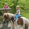 Schladming-Dachstein - Hotel Gut Raunerhof