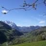 Schladming-Dachstein - Badlechner-Hof