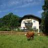 Flachau - Geistlinger M. und P., Haus