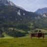 Schladming-Dachstein - Moserhof
