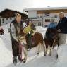 Flachau - Sonnberg-Ferienanlage