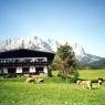 SkiWelt Wilder Kaiser-Brixental  - Pension Sunnbichl