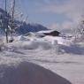 SkiWelt Wilder Kaiser-Brixental  - Haus Sonneck