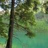 Schladming-Dachstein - Höflechner, Potzalm