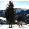 SkiWelt Wilder Kaiser-Brixental  - Appartement Lilo