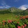 Schladming-Dachstein - Rücklhof
