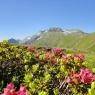 Schladming-Dachstein - Bichlhütte, Kirchenbichler