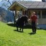 SkiWelt Wilder Kaiser-Brixental  - Siedlerhof -  Erharter Christine