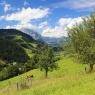 Schladming-Dachstein - Badlechner-Hof