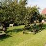 Schladming-Dachstein - Pension Biobauernhof Zaunerhof