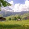 Grindelwald - Chalet Jolimont