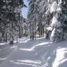 SkiWelt Wilder Kaiser-Brixental  - Mühltalhof, Bauernhof
